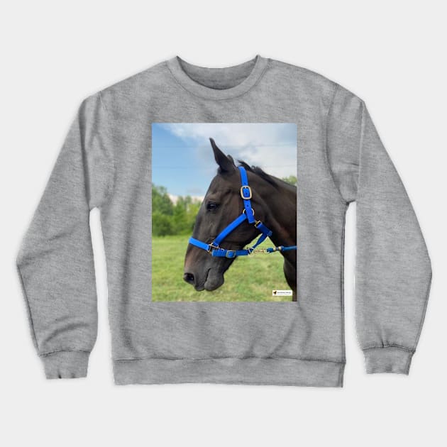 Dylan Crewneck Sweatshirt by SunshineHorses